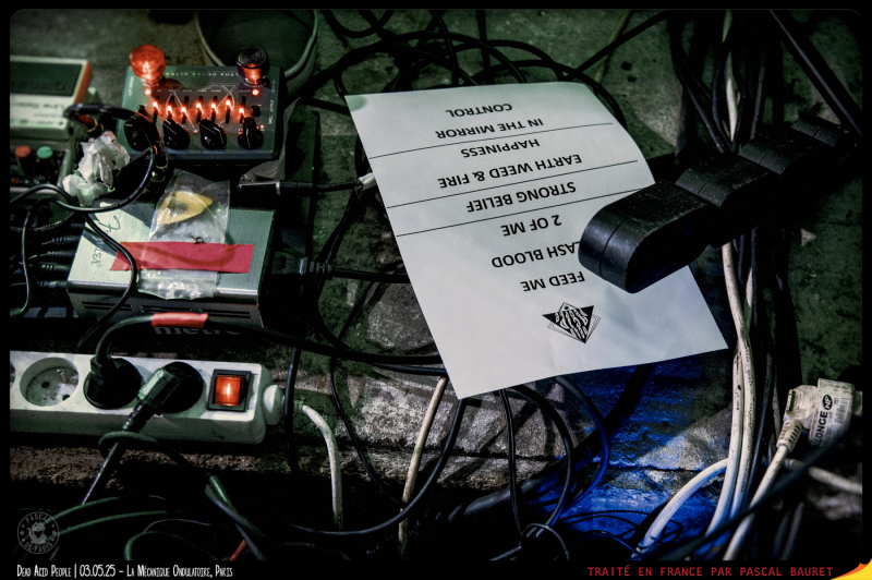 DSC_0000