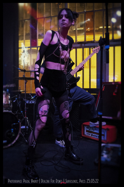 DSC_1553