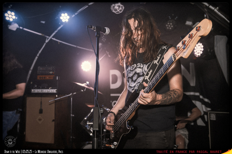 DSC_6566