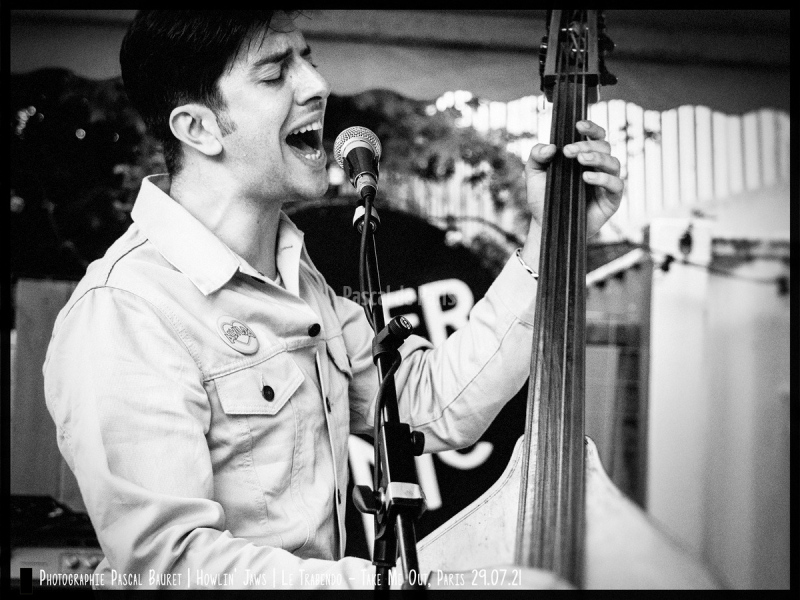 P7291136_redimensionner