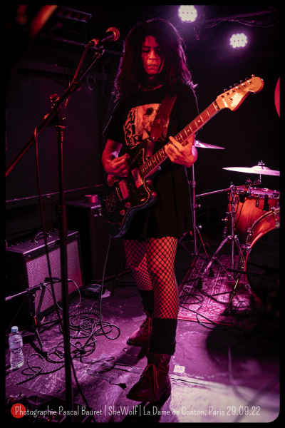 DSC_1208